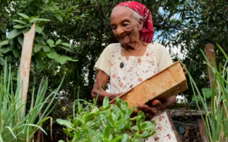 Vovó Joaninha completa 109 anos e inspira novas gerações em Goiás