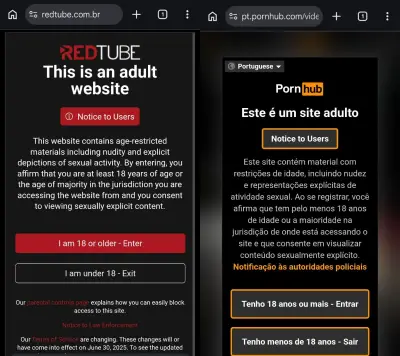 ANPD vai fiscalizar 18 sites pornôs para proteger crianças