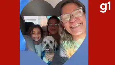 Cachorro queimado em pet shop clandestino em Cuiabá recebe alta após 44 dias