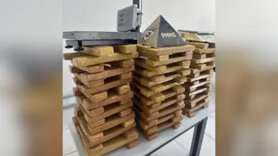 Casa alugada para jovem vira depósito de drogas em Uberlândia