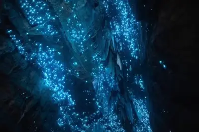 Cavernas de Waitomo: céu estrelado subterrâneo na Nova Zelândia