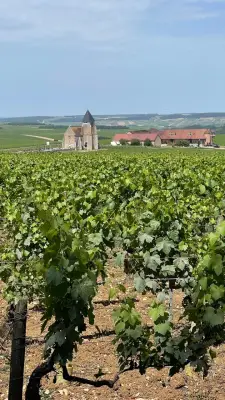 Climats da Borgonha: o terroir que encantou a Unesco