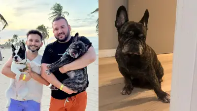 Cão morre asfixiado em pet shop de Fortaleza; tutores denunciam negligência