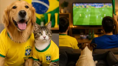 Cuidados com cães e gatos durante a Copa do Mundo