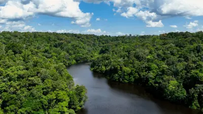 Desmatamento na Amazônia cai 37,5% e atinge menor nível desde 2016