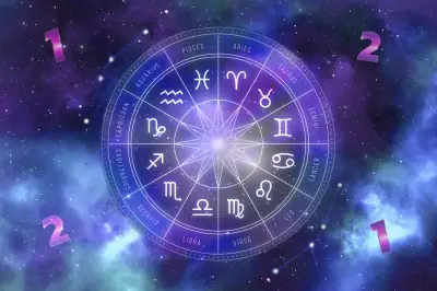 Do fogo à água: signos mais compatíveis no amor segundo a astrologia