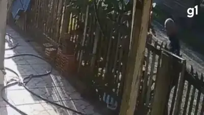 Homem é preso por agredir cachorro com madeira em Balneário Pinhal