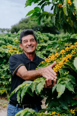 JDE Peet's acelera investimentos em agricultura regenerativa no Brasil
