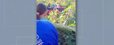 Mulher morre em colisão frontal na BR-230 em Pacajá