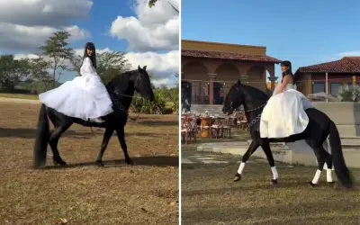 Noiva chega a cavalo em casamento 'agro' em Pirenópolis e viraliza