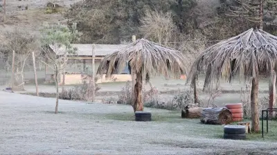 Paraná registra -3°C e bate recorde de frio em 2026 com geadas