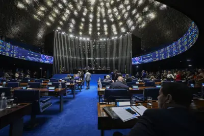 Pílula dobra sobrevida de câncer de pâncreas e terapia da USP tem 90% de eficácia