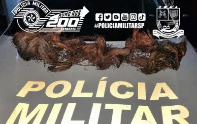 Polícia prende homem com 10 kg de cobre furtado de cabos em Jaú
