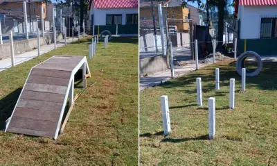 Primeiro espaço pet da Zona Noroeste de Santos terá piscina para cães