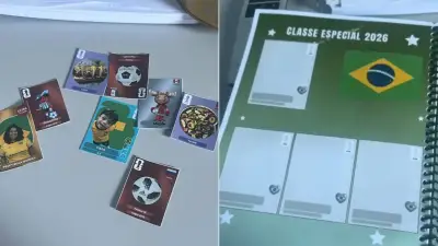 Professora cria álbum de figurinhas da Copa para alunos com deficiência