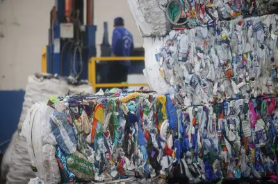 Programa de reciclagem Mãos para o Futuro busca ampliar atuação e enfrentar desafios