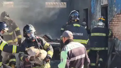 Queda de telhado salva cachorro em incêndio em Franca, SP