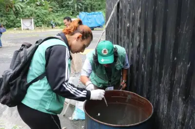 Santos testa novo larvicida que impede desenvolvimento do Aedes aegypti