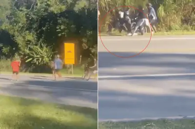 Sete jovens identificados por ataque a casal de turistas em Peruíbe