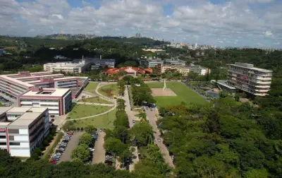 UFMG é a universidade com maior impacto em sustentabilidade da América do Sul