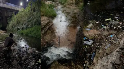 Whindersson Nunes convoca mutirão para limpeza de riacho poluído em Bom Jesus (PI)