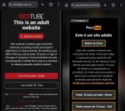 ANPD vai fiscalizar 18 sites pornôs para proteger crianças