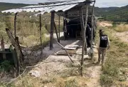 Auditores resgatam 69 trabalhadores em condições análogas à escravidão na Bahia