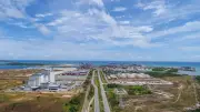 Aumento de ataques de tubarão é consequência da inauguração do Porto de Suape