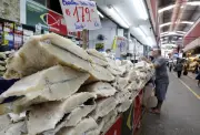 Bacalhau vira artigo de luxo na Europa com preço de quase 50 euros/kg