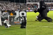 Baleinha e Baleião 'fecham o gol' contra sócios e viralizam