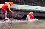 Bombeiros resgatam cachorro arrastado por correnteza em Roraima