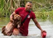 Bombeiros resgatam dois pitbulls ilhados em lagoa na Bahia