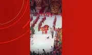 Cachorro caramelo invade apresentação do Boi Garantido no Festival de Parintins