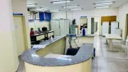 Cachorro com esporotricose é registrado em Piracicaba; CCZ age