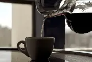 Café com rastreabilidade ganha força com projetos de agricultura regenerativa