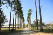 Campos do Jordão amanhece com geada e semana tem tempo seco e calor
