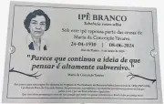 Campus da UFRJ na Praia Vermelha homenageará Maria da Conceição Tavares