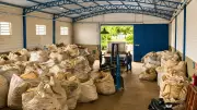 Centro de Entrega Voluntária de Resíduos de Madeira em Passos recebe 39 toneladas mensais