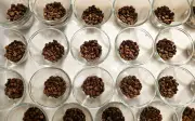 Concurso de Qualidade dos Cafés de Minas 2026: inscrições abertas