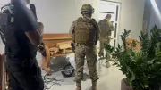 Cooperação internacional é vital contra crime organizado