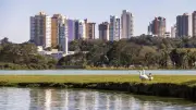 Curitiba mantém mercado imobiliário aquecido mesmo com Selic elevada