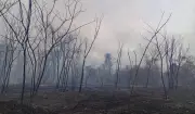 Defesa Civil alerta para risco máximo de incêndios em Presidente Prudente