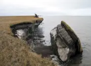 Derretimento de permafrost pode liberar 'bomba de carbono' antes do previsto