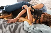 Dormir com pets: benefícios emocionais e riscos à saúde
