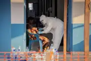 Ebola circulou seis semanas antes de detecção, alerta OMS