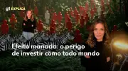 Efeito manada: entenda o perigo de investir seguindo a multidão