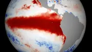 El Niño ameaça colheitas na Ásia e eleva preços de alimentos