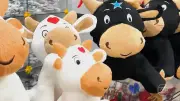 Empreendedora cria Baby Boi e transforma negócio na pandemia
