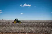 EUA impõem tarifa de 25% a produtos do Brasil; governo Lula reage