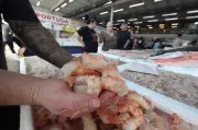 Festival do Camarão 2026 no Mercado de Peixes de Santos a partir de R$ 29,99